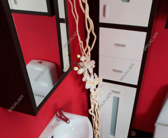 Зеркало-шкаф Бриклаер Бали 40 R эмаль 4620750411244 - 2