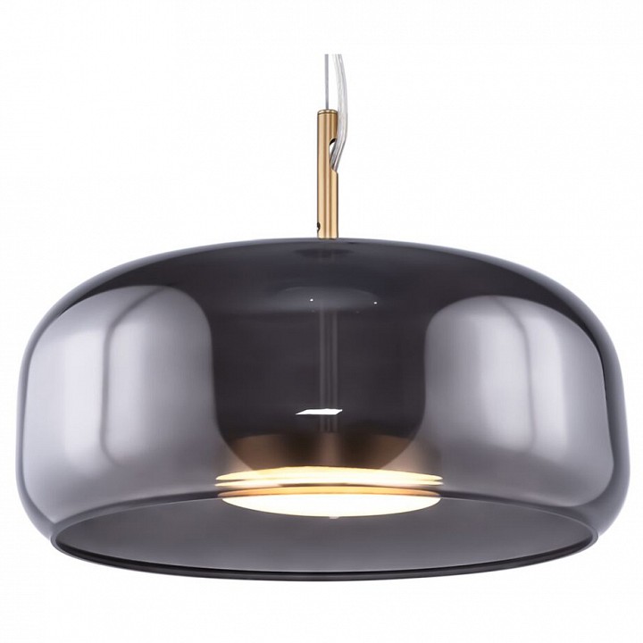 Подвесной светодиодный светильник Maytoni Madmen MOD127PL-L6SG - 0