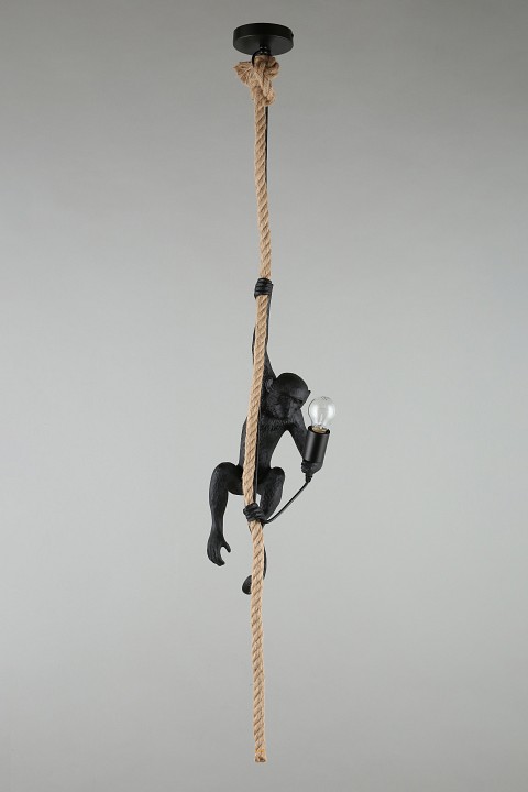 Подвесной светильник Aployt Magali APL.309.16.01 - 6