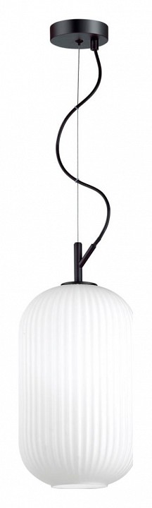 Подвесной светильник Odeon Light Pendant Roofi 4751/1 - 1