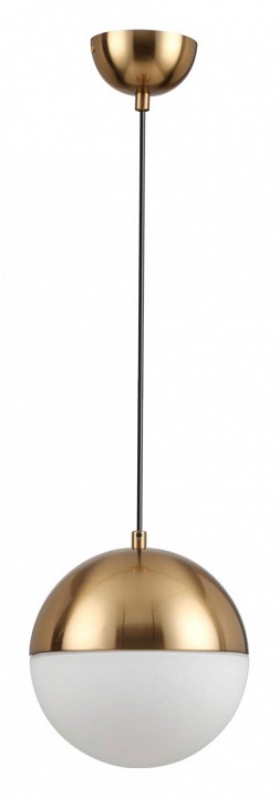 Подвесной светильник Odeon Light Pendant Pinga 4960/1A - 1