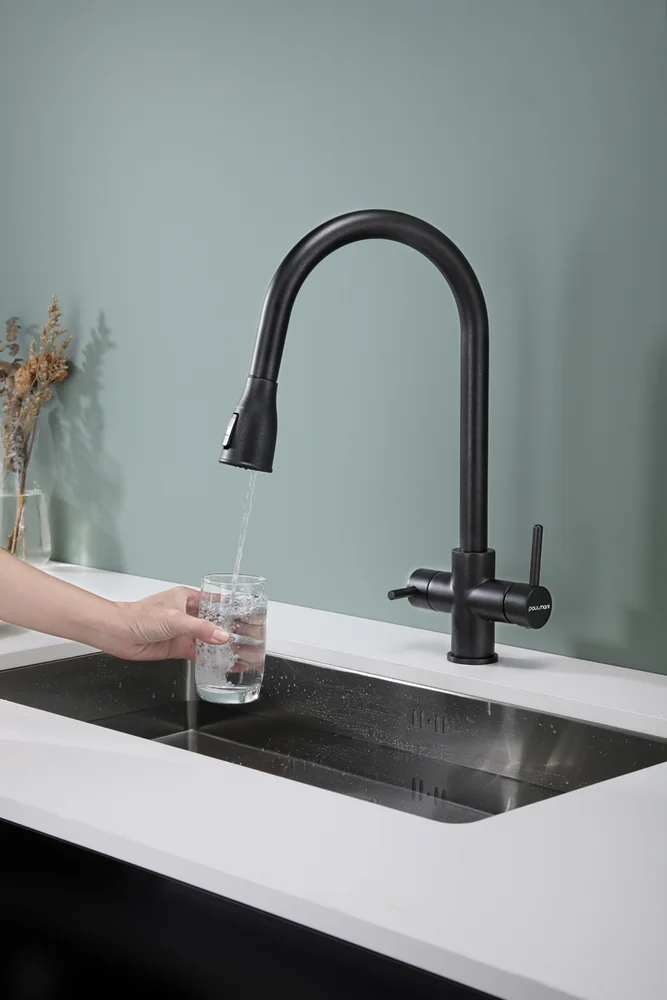 Смеситель для кухни Paulmark Lange черный матовый La214212-418 - 2