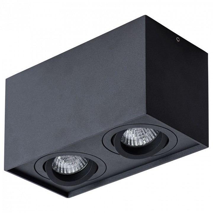 Потолочный светильник Arte Lamp Factor A5544PL-2BK - 0