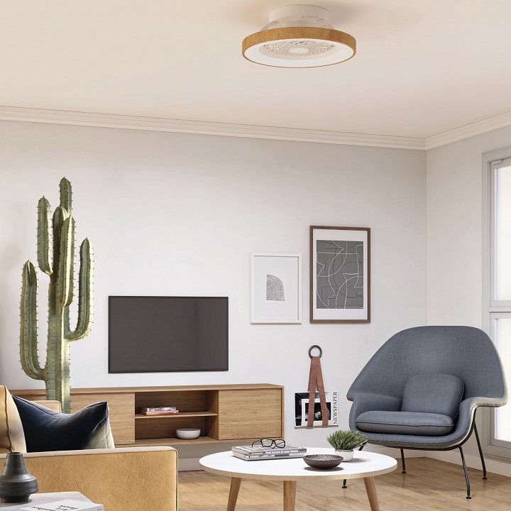 Светильник с вентилятором Mantra (люстры-вентиляторы) Tibet 7806 - 2