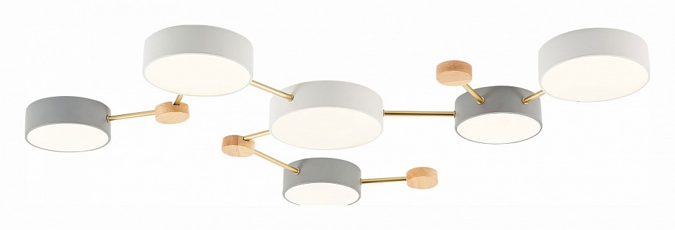 Накладной светильник EVOLUCE Dossena SLE600102-06 - 0