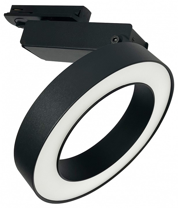 Светильник на штанге Maytoni Rim TR044-1-12W3K-B - 0