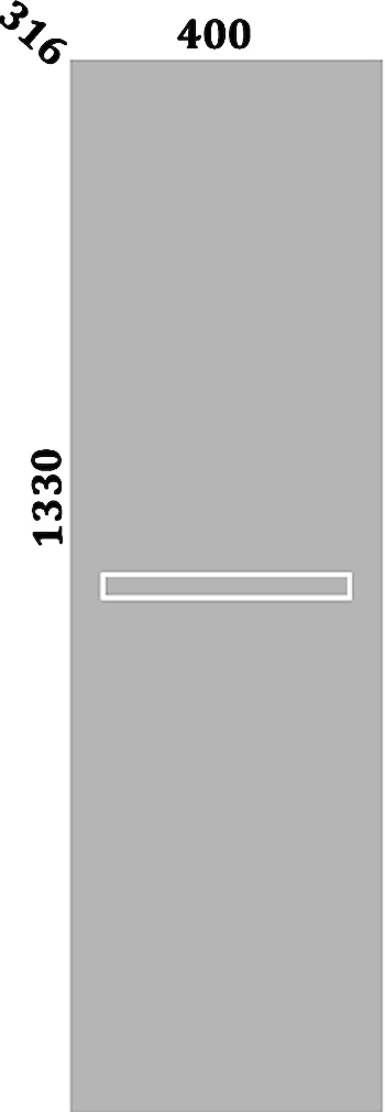 Шкаф-пенал Sanflor Одри/Рио/Сорренто L Н0000000098 - 3