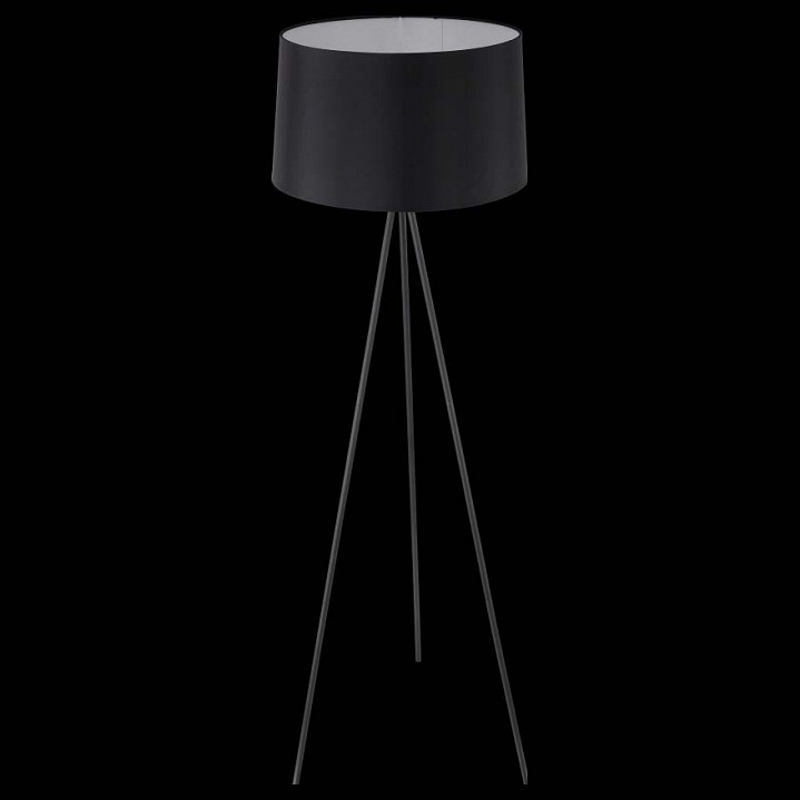 Торшер Freya Bonita FR5152-FL-01-B - 2