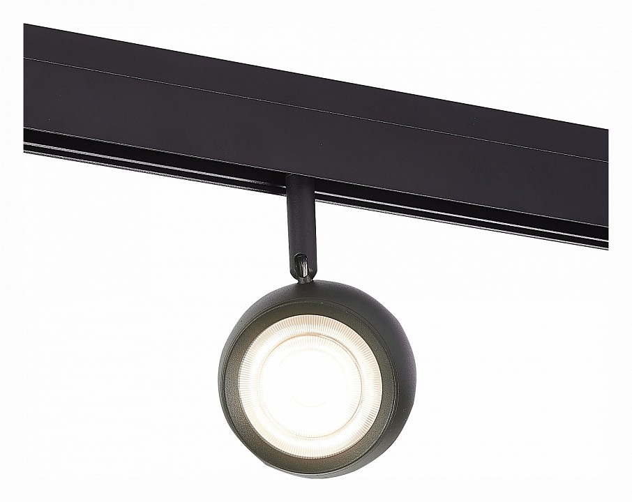 Светильник на штанге ST-Luce ST355 ST355.436.10 - 0