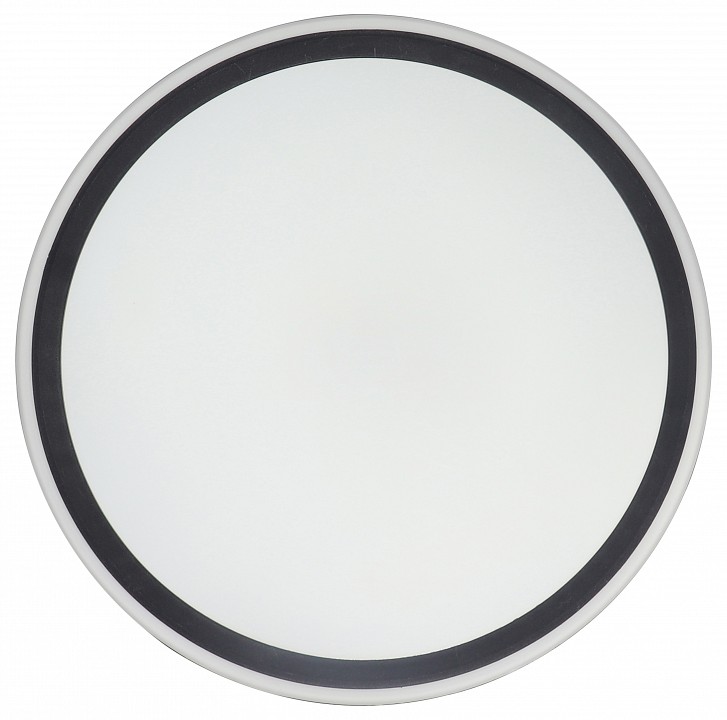 Накладной светильник Zortes BELLA ZRS.1201.11 - 3