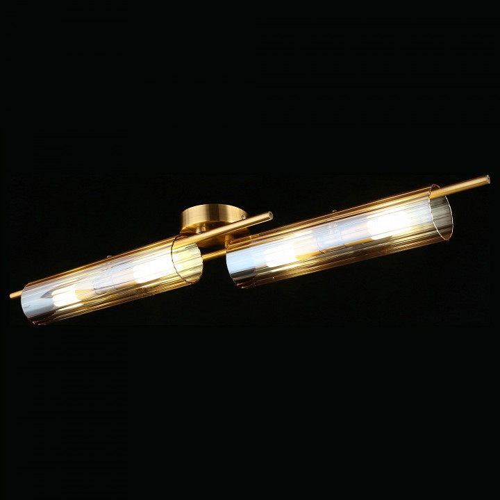 Накладной светильник Aployt Lusia APL.315.07.04 - 2