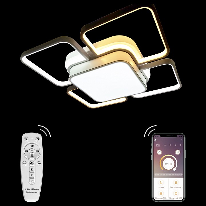 Потолочный светодиодный светильник Natali Kovaltseva 81038/8C - 5