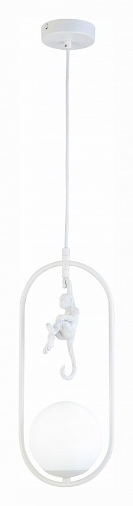 Подвесной светильник EVOLUCE Tenato SLE115123-01 - 3