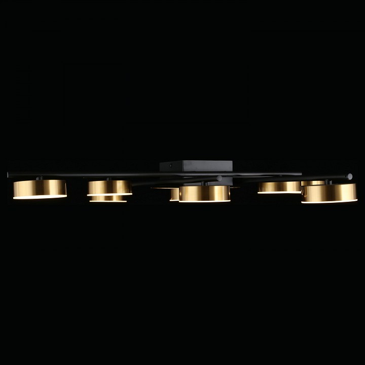 Потолочная люстра Aployt Delayn APL.042.07.56 - 1