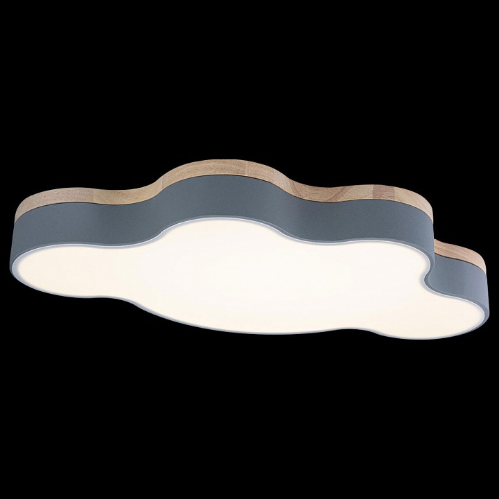 Накладной светильник Loft it Axel 4 10005/36 Grey - 3