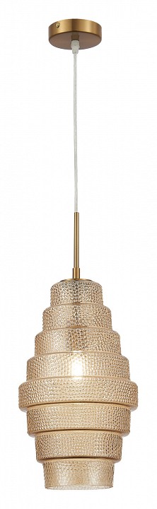 Подвесной светильник ST-Luce Rexite SL1001.203.01 - 2