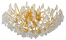 Потолочная люстра Favourite Pluvia 4162-10C - 1