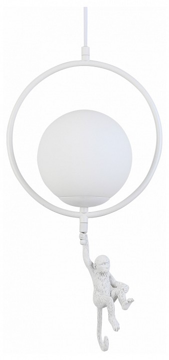 Подвесной светильник EVOLUCE Tenato SLE115113-01 - 0