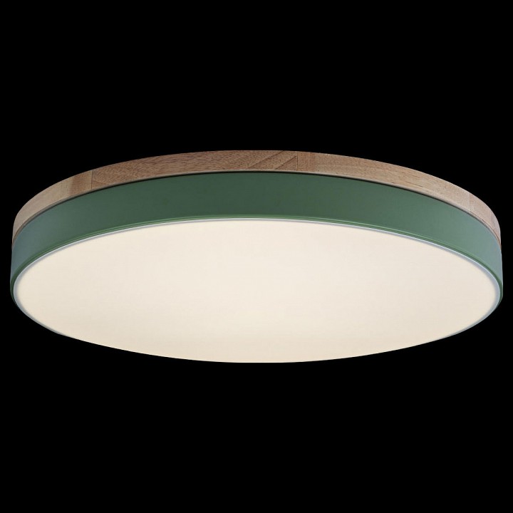 Накладной светильник Loft it Axel 10001/36 Green - 3