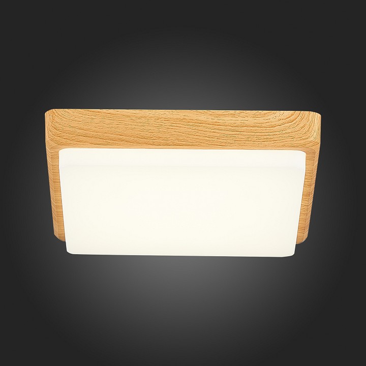 Накладной светильник EVOLUCE Taddio SLE200202-01 - 7