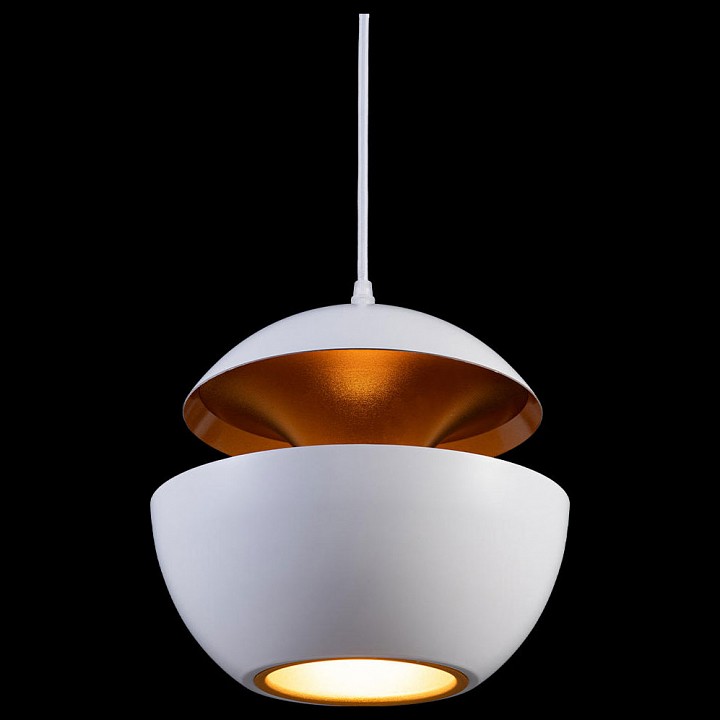 Подвесной светильник Loft it Apple LOFT2213-A - 1