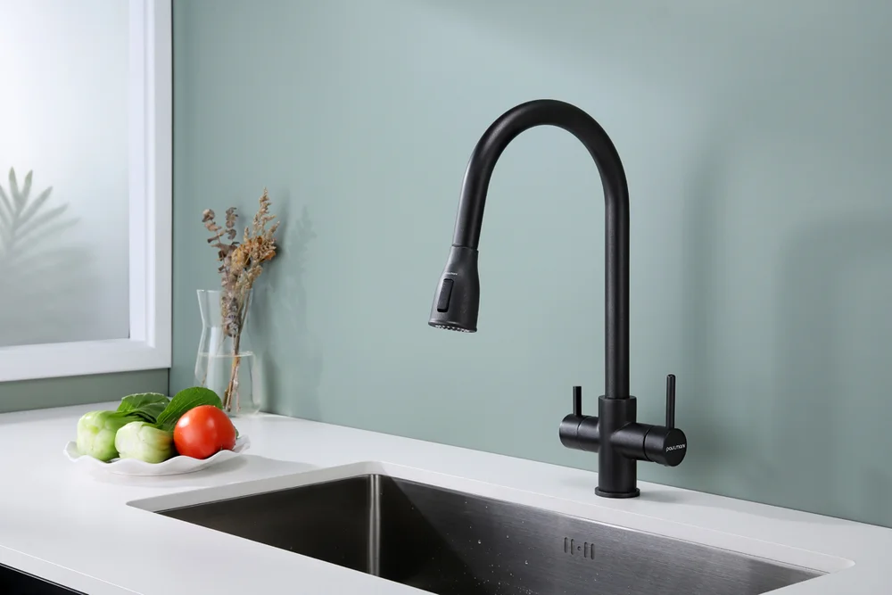 Смеситель для кухни Paulmark Lange черный матовый La214212-418 - 1