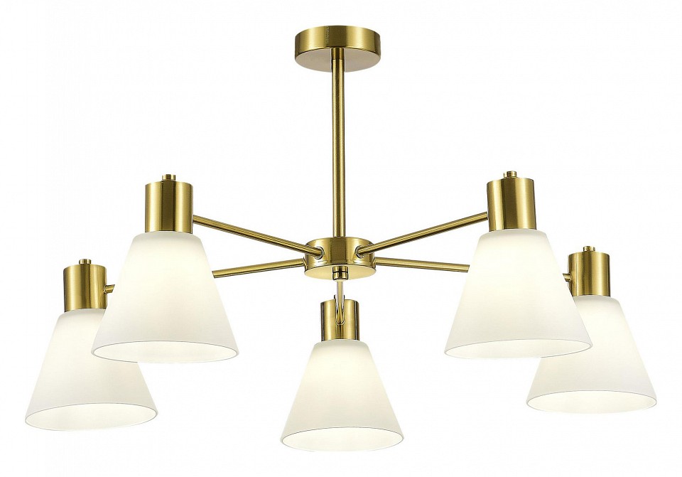 Люстра на штанге EVOLUCE Arki SLE1561-302-05 - 1