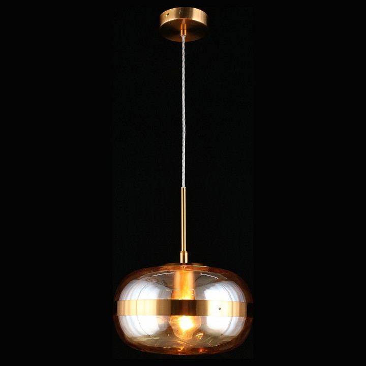 Подвесной светильник Aployt Gabriela APL.305.16.01 - 1