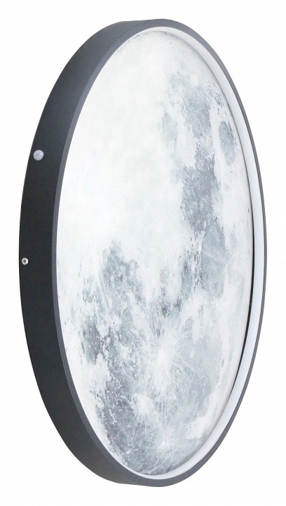 Накладной светильник Lightstar Emisfero 737637 - 0