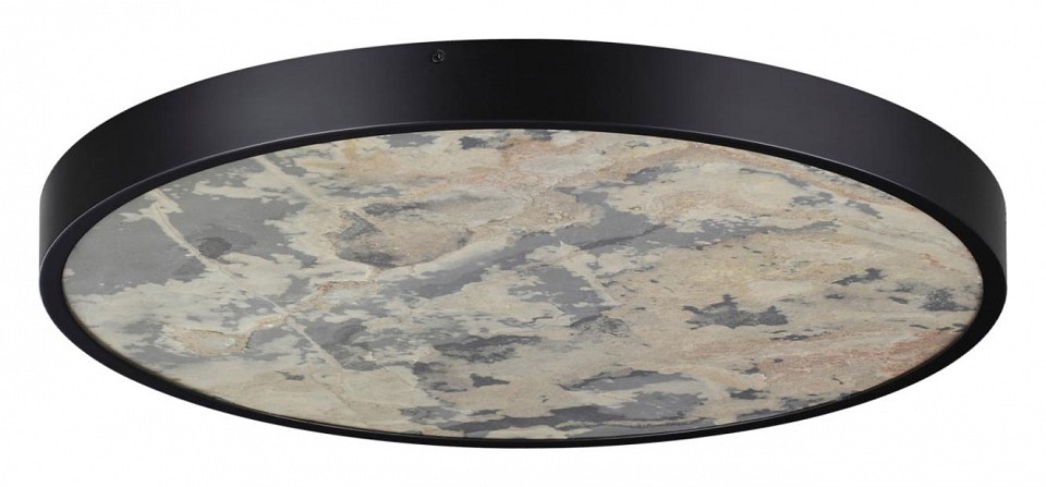 Накладной светильник Odeon Light Bergi 5064/50L - 2