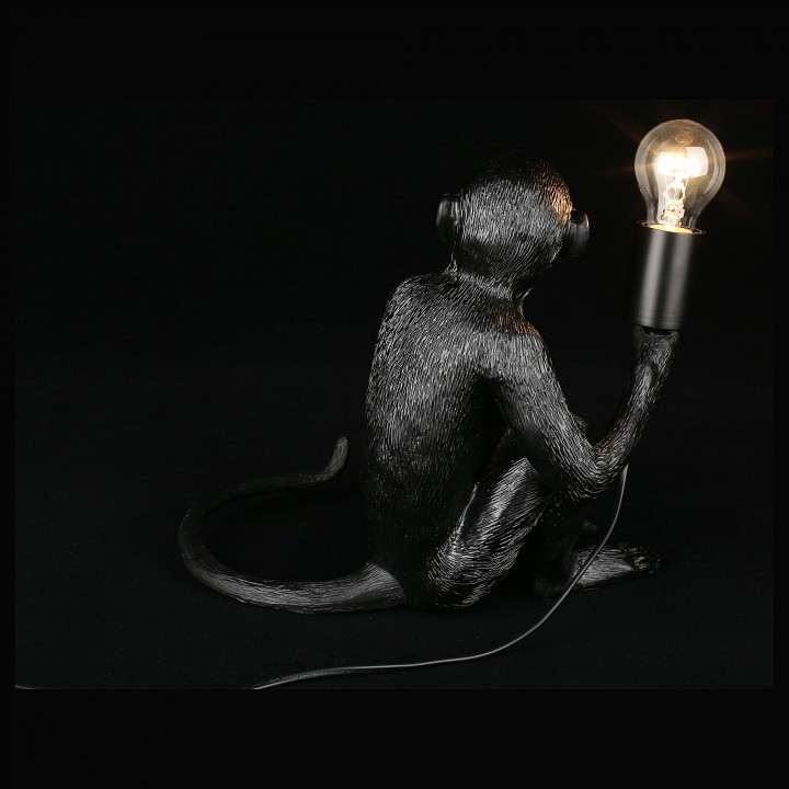 Зверь световой Aployt Magali APL.309.24.01 - 5