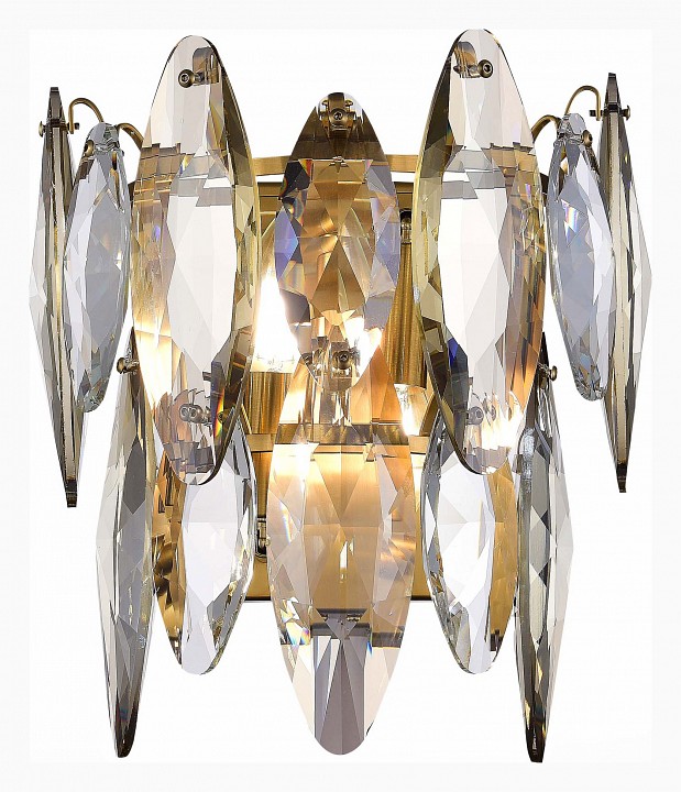 Накладной светильник ST-Luce Ancona SL1227.301.02 - 0