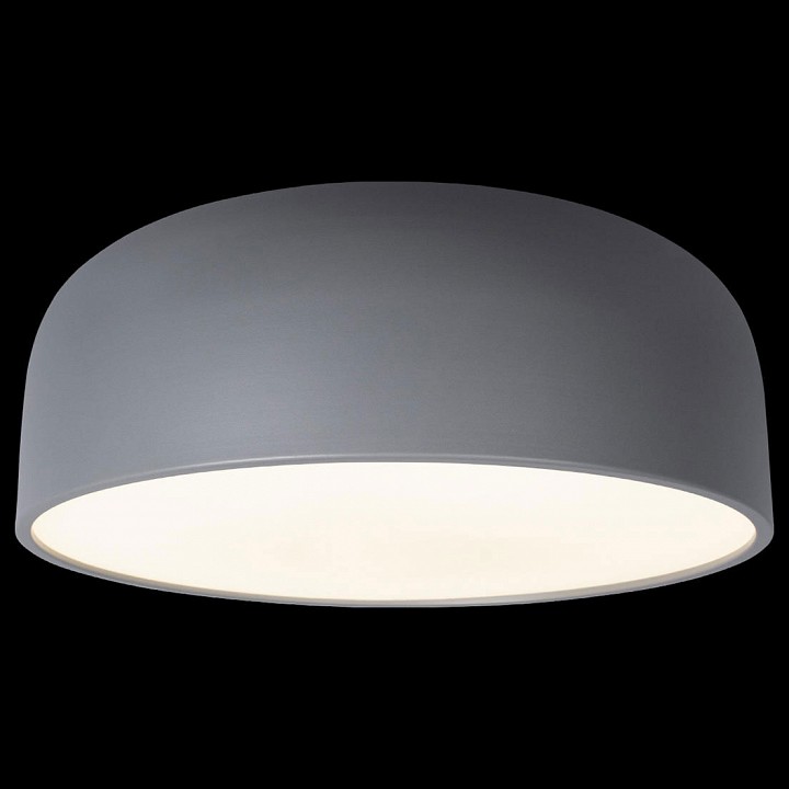 Накладной светильник Loft it Axel 10201/480 Grey - 4