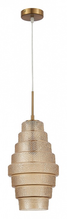 Подвесной светильник ST-Luce Rexite SL1001.203.01 - 1