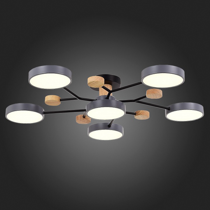 Потолочная люстра EVOLUCE Faema SLE6006-702-06 - 5