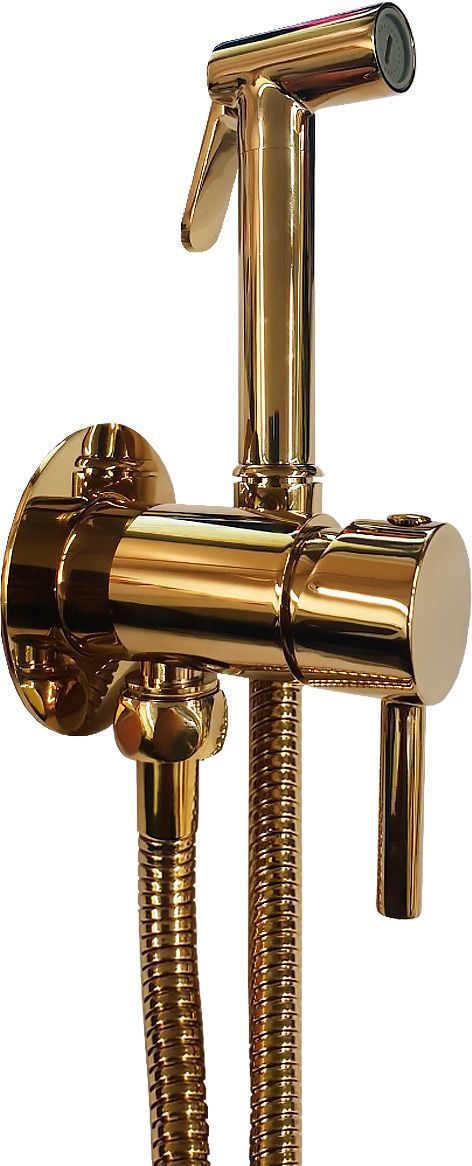 Гигиенический душ Paffoni Tweet Round со смесителем ZDUP110HG - 0