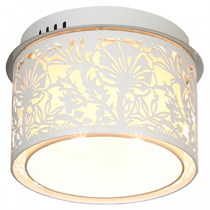 Накладной светильник Lussole Vetere GRLSF-2307-04 - 2