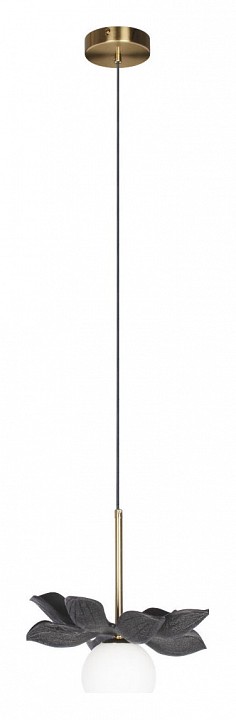 Подвесной светильник Loft it Monro 10213/B Black - 1