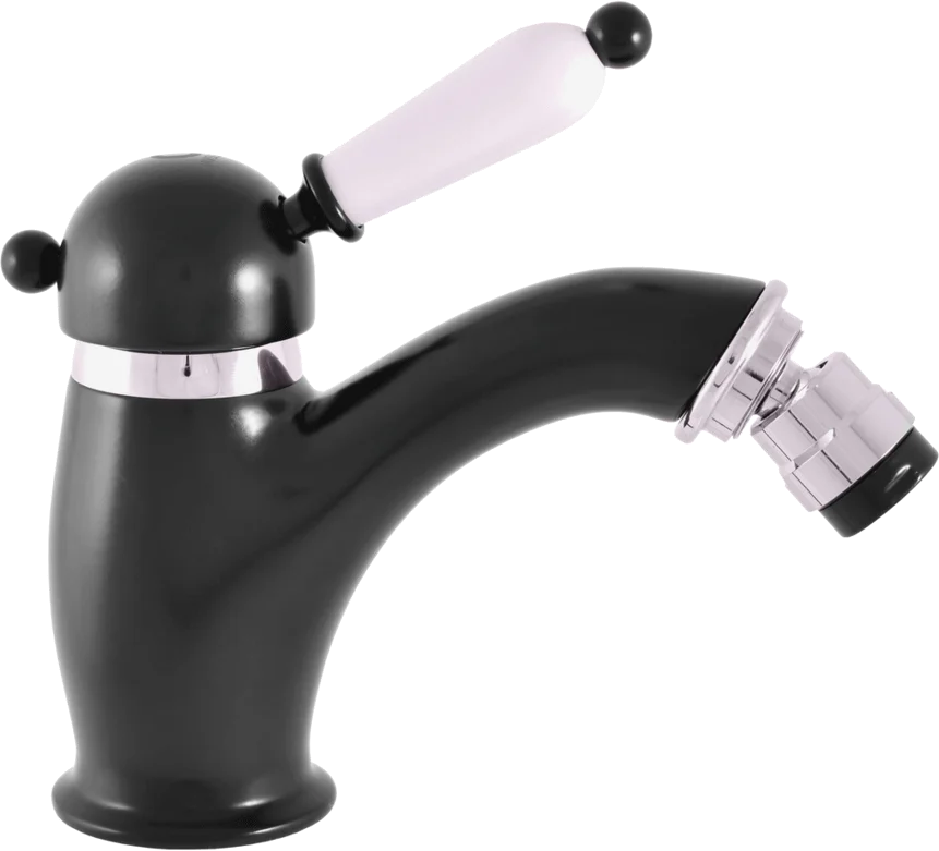 Смеситель для биде Rav Slezak Labe черный матовый - хром L545.5KCMATC - 0