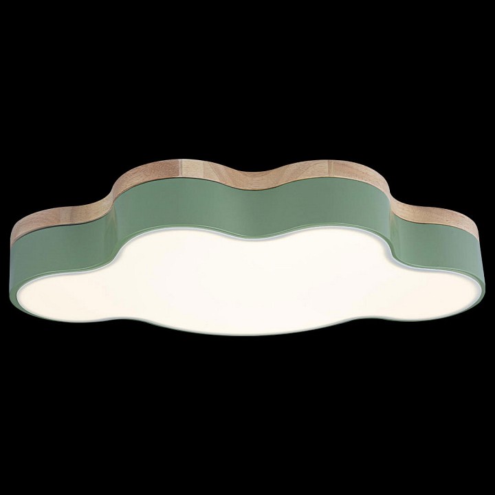 Накладной светильник Loft it Axel 4 10005/30 Green - 4