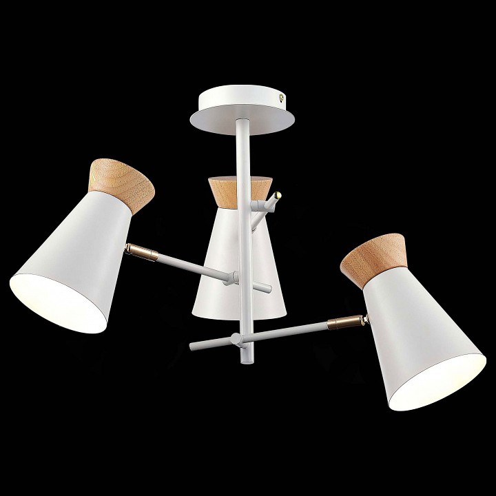 Потолочная люстра EVOLUCE Alfeo SLE1252-502-03 - 1