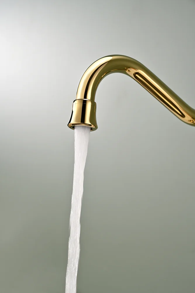 Смеситель для кухни Paulmark Retro золото Re213226-G - 11