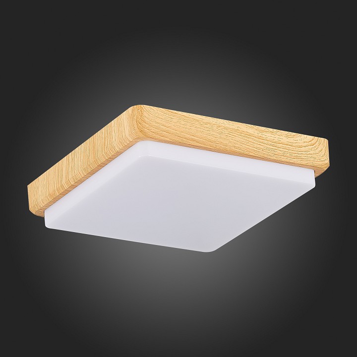 Накладной светильник EVOLUCE Taddio SLE200202-01 - 6