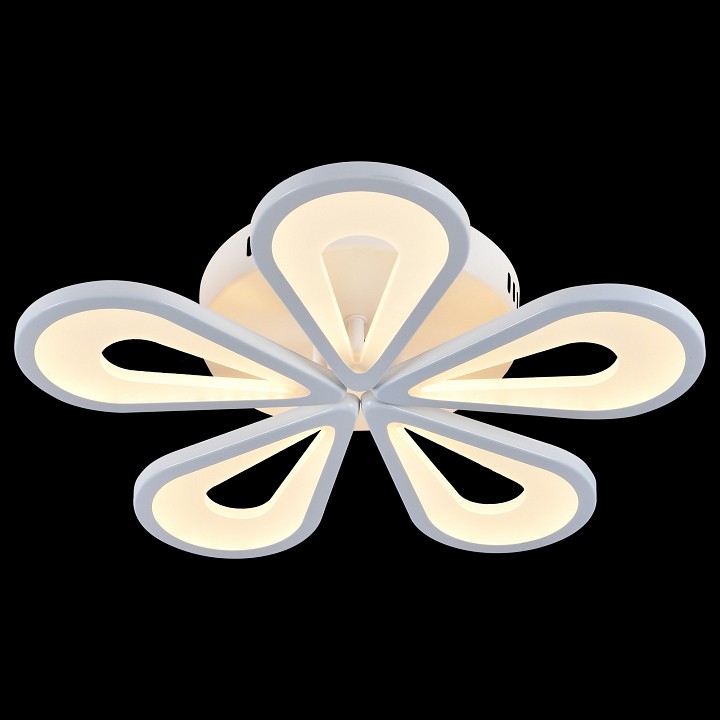 Потолочная люстра Escada Kamille 10206/5LED White - 3