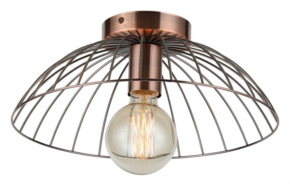 Накладной светильник Lussole Brooks LSP-8249 - 0