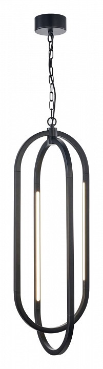 Подвесной светильник Favourite Castled 4009-4P - 1