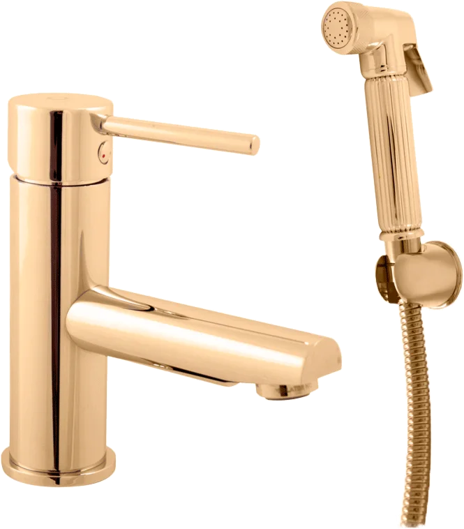 Смеситель для раковины Rav Slezak Seina золото SE946.5/1Z - 0