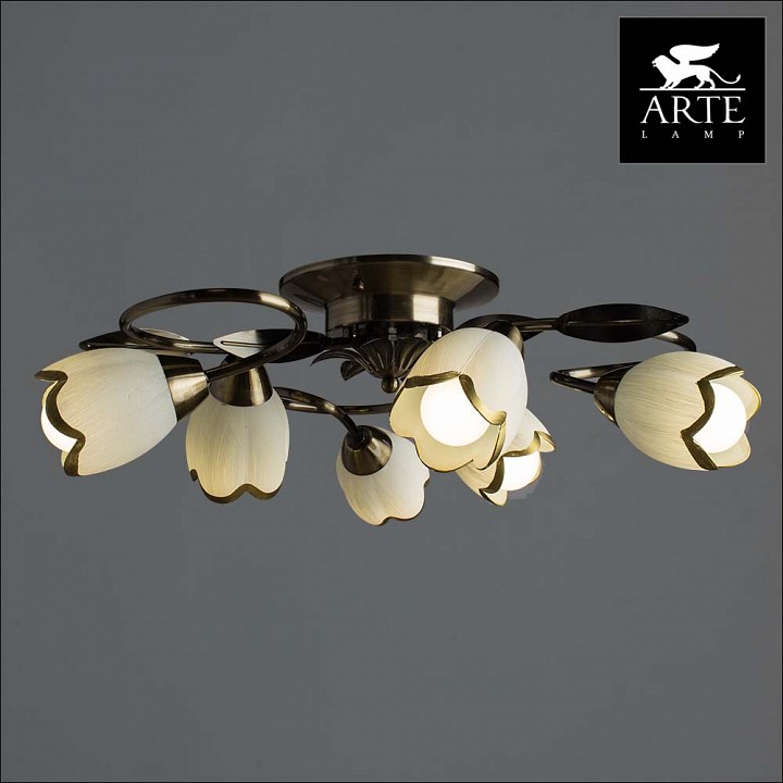 Потолочная люстра Arte Lamp 4 A6061PL-6AB - 1
