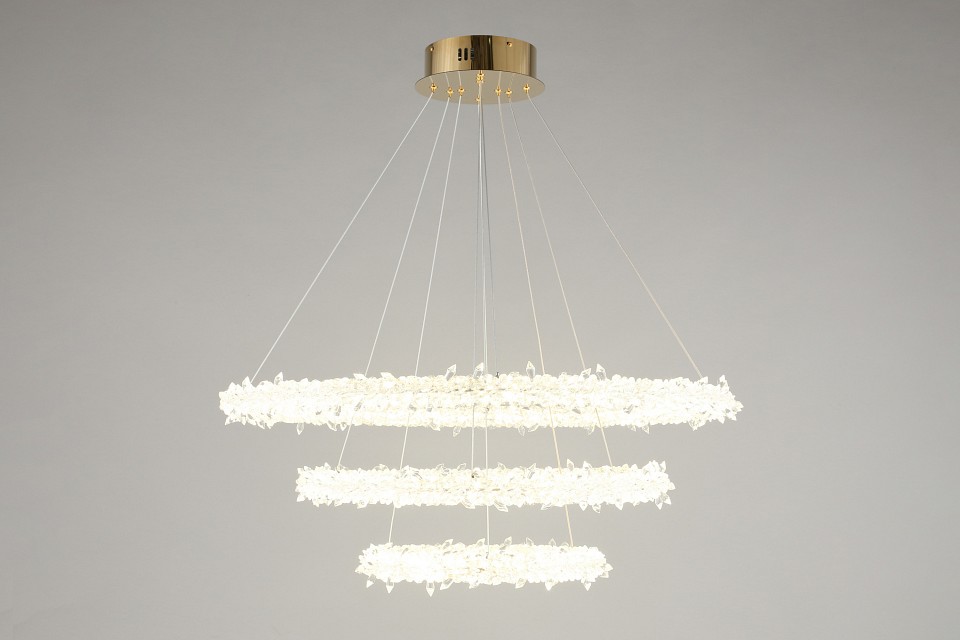 Подвесной светильник Aployt Merion APL.040.03.105 - 5