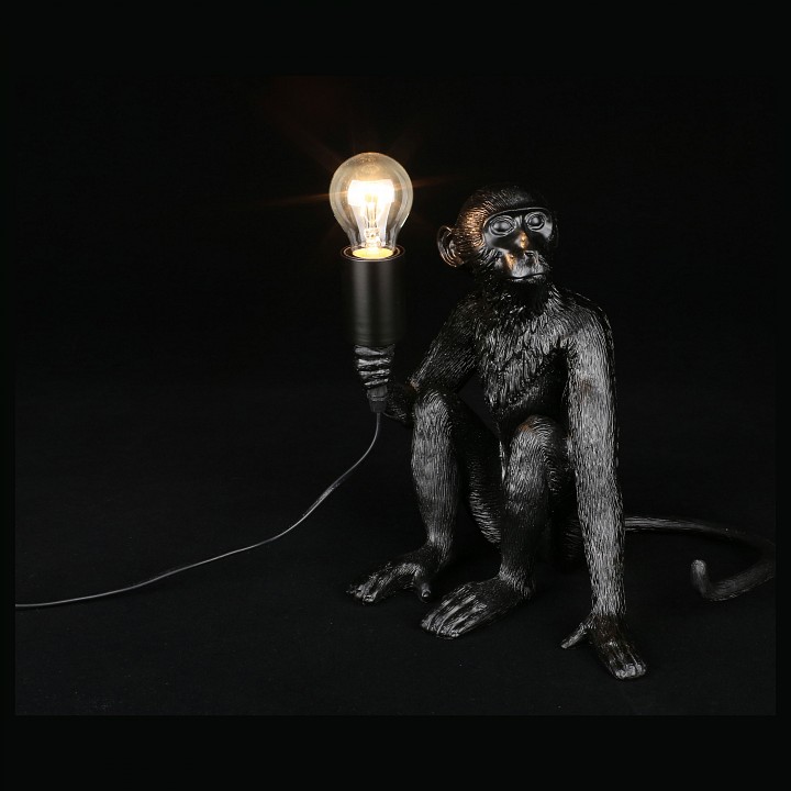 Зверь световой Aployt Magali APL.309.24.01 - 2